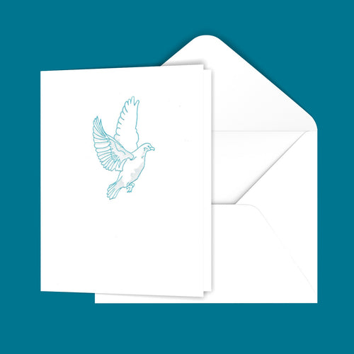 White Dove Greeting Card
